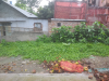 জরুরী ভিত্তিতে জমি বিক্রয় করা হবে